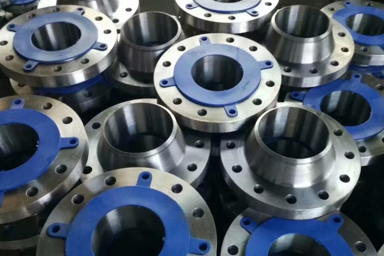 Stainless Steel Flanges